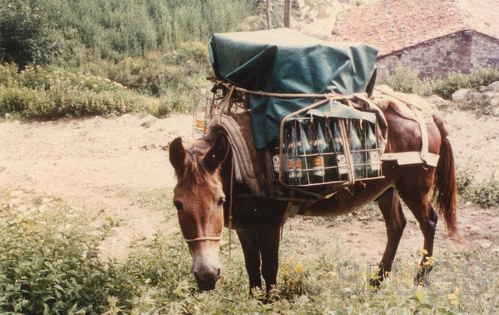 Transport Tresviso 1977.JPG